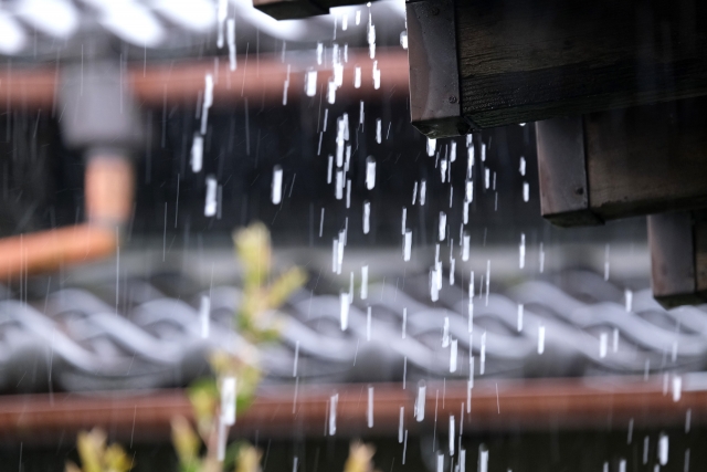 雨漏り